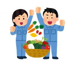 ★☆★☆★☆★☆★☆★☆★☆★☆
野菜やくだものなど、スーパーの商品仕分け
みなさん未経験からスタートしているので大丈夫♪
幅広い年齢層の男女が働いている職場です。
弊社のスタッフも20名以上いるので、わからない事はどんどん聞いてください。
社員さんも丁寧に教えてくれます。
一人でもくもく仕分け作業できる方大歓迎～